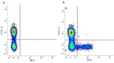 Anti Human KIR Antibody, clone NKVFS1 gallery image 1
