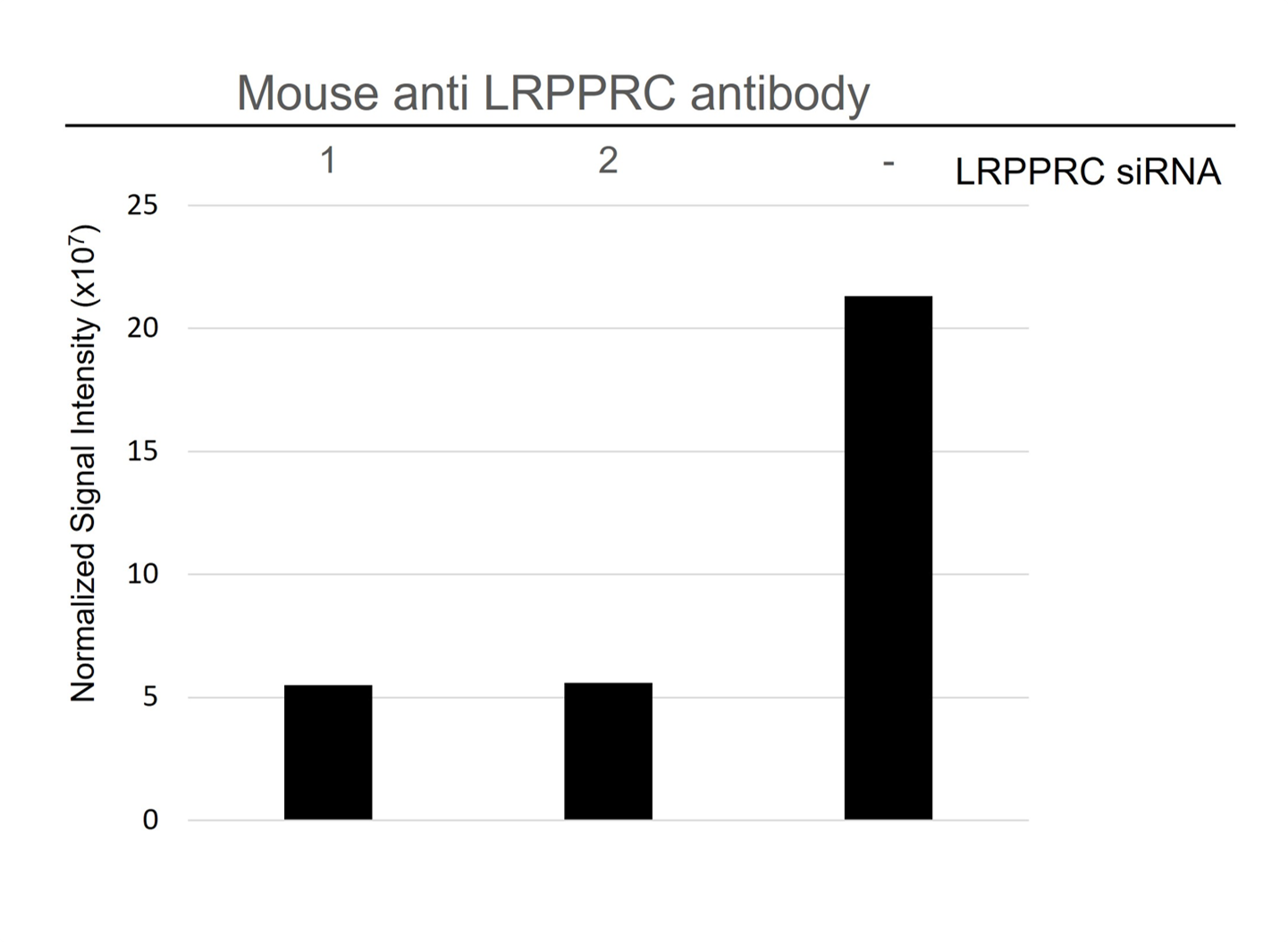Anti Lrpprc Antibody, clone AB02/2F11 (PrecisionAb Monoclonal Antibody) gallery image 4