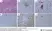 Anti Human Macrophages Antibody, clone MAC387 thumbnail image 14