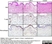 Anti Human Macrophages Antibody, clone MAC387 thumbnail image 16