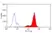 Anti Human Macrophages Antibody, clone MAC387 thumbnail image 3