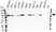 Anti MALT1 Antibody, clone 50 (PrecisionAb Monoclonal Antibody) thumbnail image 3