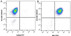 Anti Mcl-1 Antibody, clone GH04/3A1 (PrecisionAb Monoclonal Antibody) gallery image 2