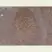 Anti Human Mcm5 Antibody, clone CRCT5.1 thumbnail image 1