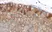 Anti Human MCP-1 Antibody, clone 2.2-4H5-1A11 thumbnail image 2