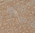 Anti Human Megalin Antibody, clone AbD11723 thumbnail image 1