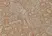 Anti Human Megalin Antibody, clone AbD11723 thumbnail image 1