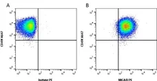 Anti Human MICA/Micb Antibody, clone 6D4 gallery image 1