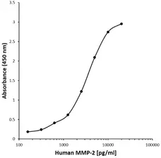 Anti Human MMP-2 Antibody, clone C12-8A3 gallery image 1