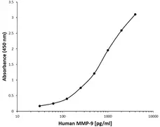 Anti Human MMP-9 Antibody, clone  I13-2E1 gallery image 1