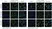 anti Mono-ADP-Ribose Antibody, clone AbD33204 thumbnail image 2