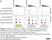 anti Mono-ADP-Ribose Antibody, clone AbD33204 - SpyTag Labeled thumbnail image 5