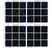 anti Mono-ADP-Ribose Antibody, clone AbD33205 thumbnail image 1