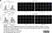 anti Mono-ADP-Ribose Antibody, clone AbD41122 thumbnail image 13