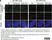 anti Mono-ADP-Ribose Antibody, clone AbD43647 thumbnail image 5