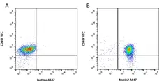 Anti Human Mucin 2 Antibody, clone 996/1 gallery image 1