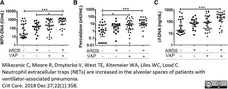 Anti Human Myeloperoxidase Antibody, clone 4A4 gallery image 1