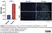 Anti Human Myeloperoxidase Antibody, clone 4A4 thumbnail image 11