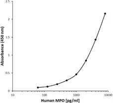 Anti Human Myeloperoxidase Antibody, clone D02-2A1 gallery image 1