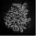 Anti Human NCAPH2 Antibody, clone 5F2G4 thumbnail image 1