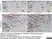 Anti Human Nestin Antibody, clone 10C2 thumbnail image 1
