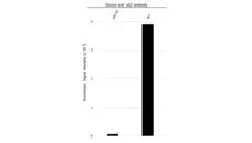 Anti p53 (aa20-25) Antibody, clone DO-1 (Monoclonal Antibody Antibody) gallery image 6