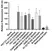 anti PAN-ADP-RIBOSE Antibody, clone AbD33641 thumbnail image 1