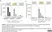anti PAN-ADP-RIBOSE Antibody, clone AbD33641 - SpyTag Labeled thumbnail image 1