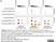 anti PAN-ADP-RIBOSE Antibody, clone AbD33641 - SpyTag Labeled thumbnail image 2