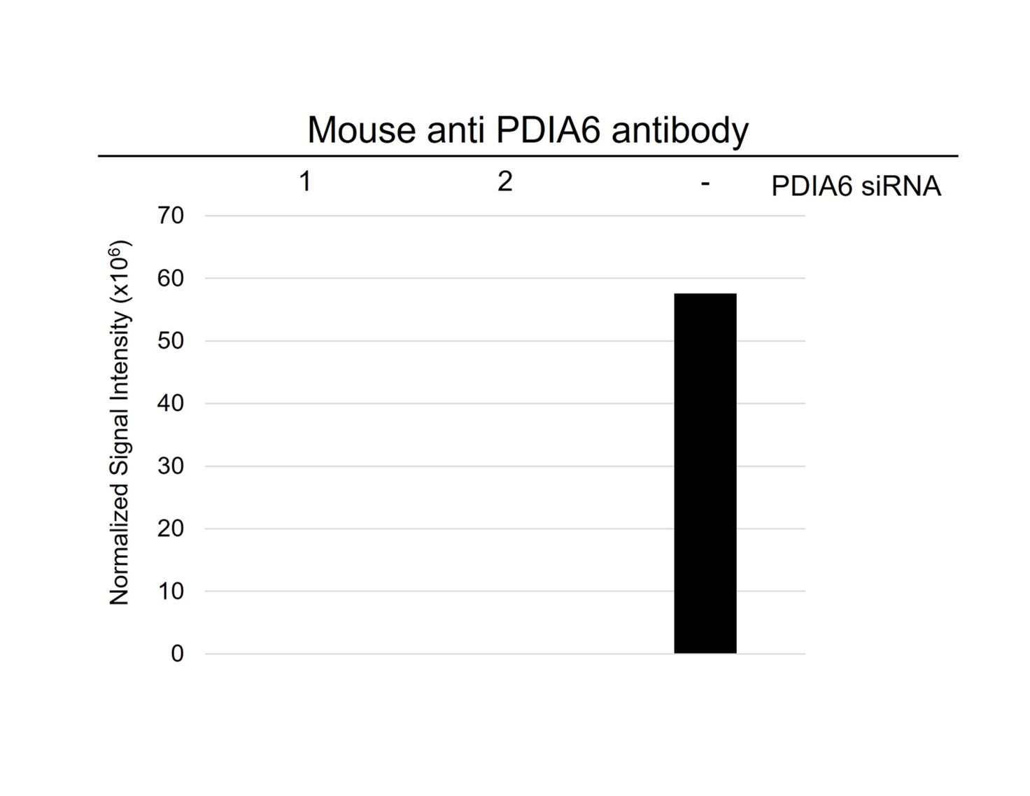Anti PDIA6 Antibody, clone CD02/1D11 (PrecisionAb Monoclonal Antibody) gallery image 4