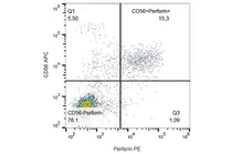 Anti Human Perforin Antibody, clone dG9 gallery image 1