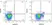 Anti Human Perforin Antibody, clone dG9 thumbnail image 2