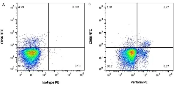 Anti Human Perforin Antibody, clone dG9 gallery image 2