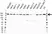 Anti PI-3 Kinase C2 Subunit Alpha Antibody, clone OTI1B8 (PrecisionAb Monoclonal Antibody) thumbnail image 1