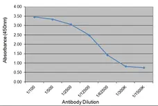 Anti Human Placental Growth Hormone Antibody, clone 78.7C12 gallery image 1