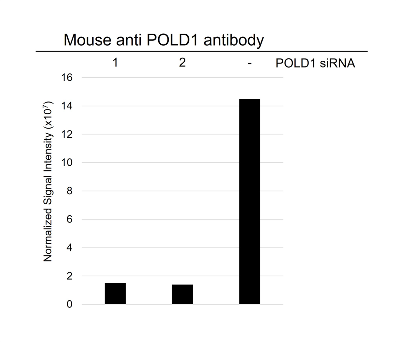 Anti POLD1 Antibody, clone CD02/4G2 (PrecisionAb Monoclonal Antibody) gallery image 4
