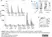 anti POLY-ADP-RIBOSE Antibody, clone AbD64138 thumbnail image 14