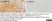 Anti Poly(ADP-Ribose) Polymerase-1 Antibody, clone A6.4.12 thumbnail image 9