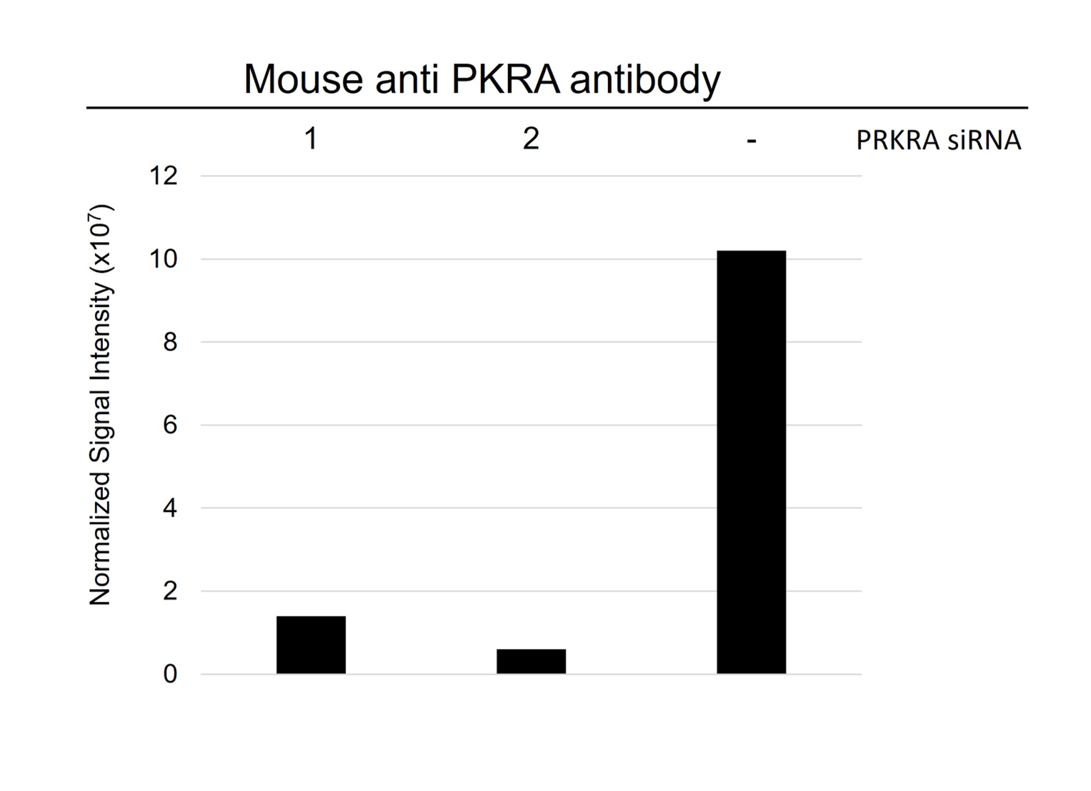 Anti Prkra Antibody, clone AB01/1C8 (PrecisionAb Monoclonal Antibody) gallery image 4