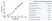 Anti Human Prolactin Antibody, clone P1 (BGN/F64/01) thumbnail image 1