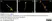Anti Human Protein Gene Product 9.5 Antibody, clone 13C4 thumbnail image 10