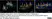 Anti Human Protein Gene Product 9.5 Antibody, clone 13C4 thumbnail image 28