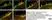 Anti Human Protein Gene Product 9.5 Antibody, clone 13C4 thumbnail image 30