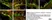 Anti Human Protein Gene Product 9.5 Antibody, clone 13C4 thumbnail image 31