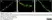 Anti Human Protein Gene Product 9.5 Antibody, clone 13C4 thumbnail image 8