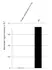 Anti Human Protein Gene Product 9.5 Antibody, clone 31A3 (Monoclonal Antibody Antibody) thumbnail image 13