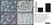 Anti Human Protein Gene Product 9.5 Antibody, clone 31A3 (Monoclonal Antibody Antibody) thumbnail image 5