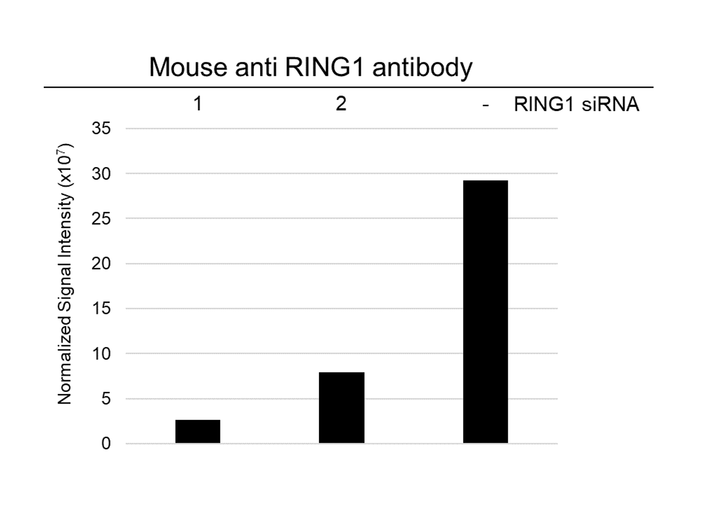 Anti RING1 Antibody, clone 8C12F4 (PrecisionAb Monoclonal Antibody) gallery image 3