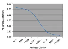 Anti Human Sex Hormone Binding Globulin Antibody, clone 31.7E2 gallery image 1