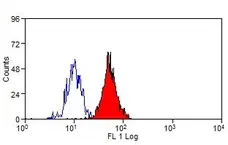 Anti Human Siglec-5/Siglec-14 Antibody, clone 1A5 gallery image 2